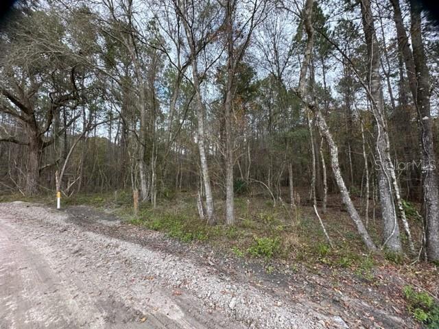 0 Southeast High Falls Road Lake City, FL 32025 - Photo 3 of 4 a backyard of a house with lots of green space