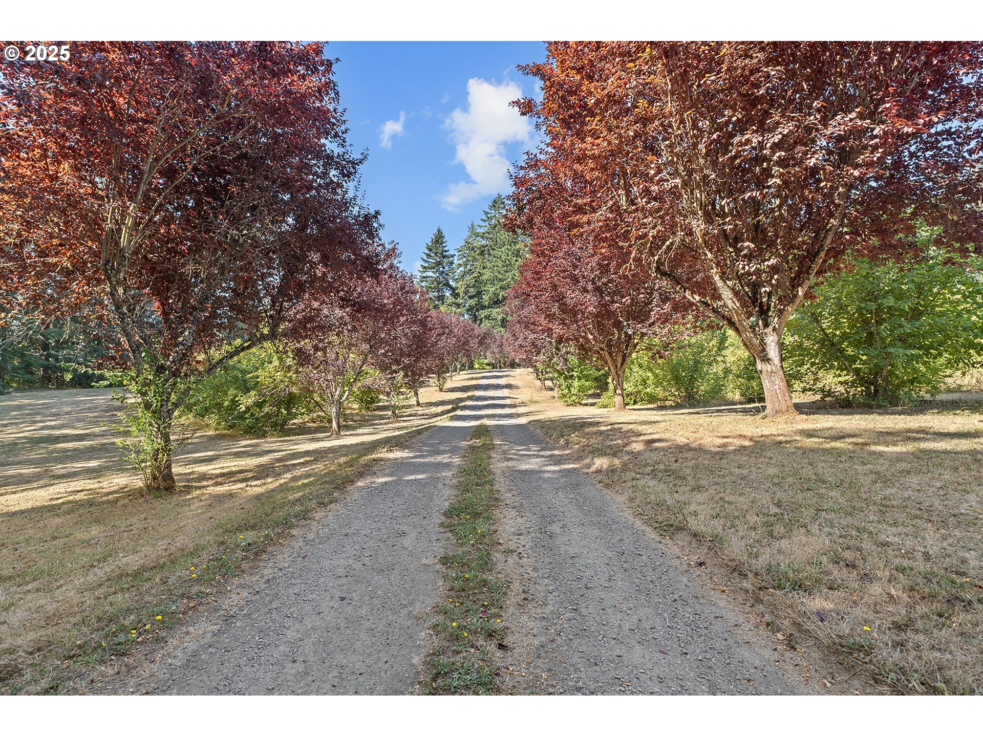 33150 Northeast Wilsonville Road Newberg, OR 97132 - Photo 2 of 47