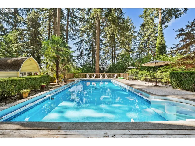 a view of a backyard