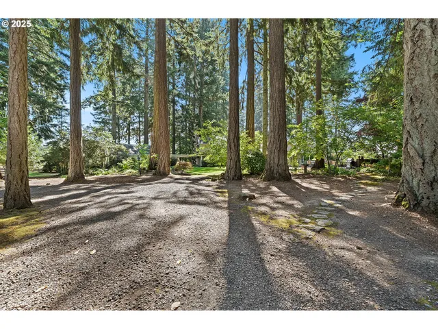 a view of a yard with large trees