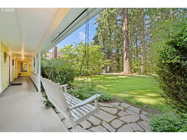 a view of a yard with plants