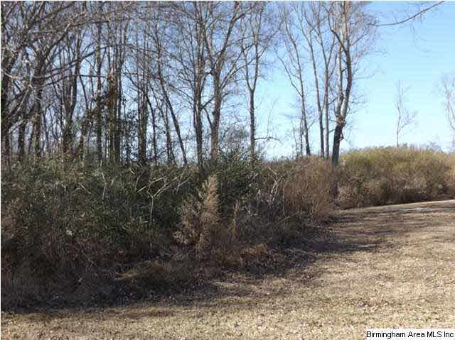 New Prospect Church Road, Unit 16 Horton, AL 35980 - Photo 4 of 20