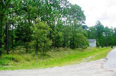 406 Prospect Road Southport, NC 28461 - Photo 1 of 3 Primary Photo
