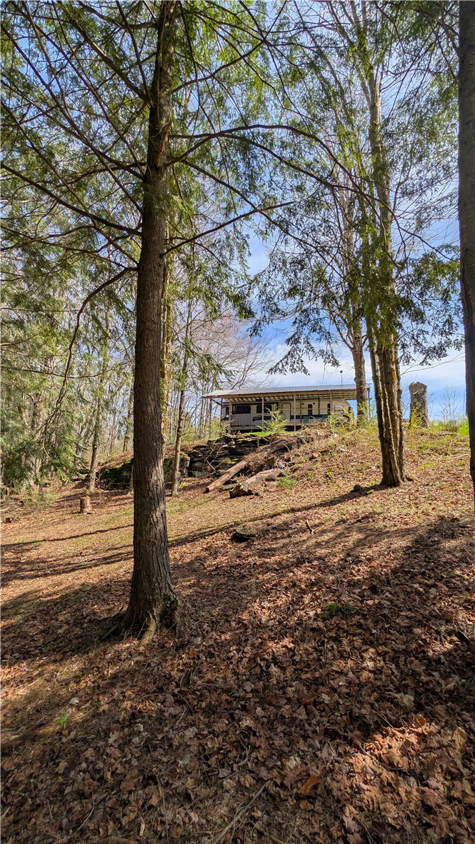 245 Woodchuck Run Summit, NY 12093 - Photo 27 of 45