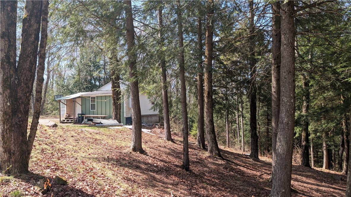 245 Woodchuck Run Summit, NY 12093 - Photo 28 of 45