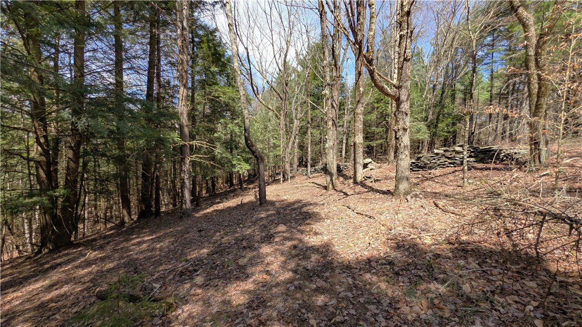 245 Woodchuck Run Summit, NY 12093 - Photo 31 of 45