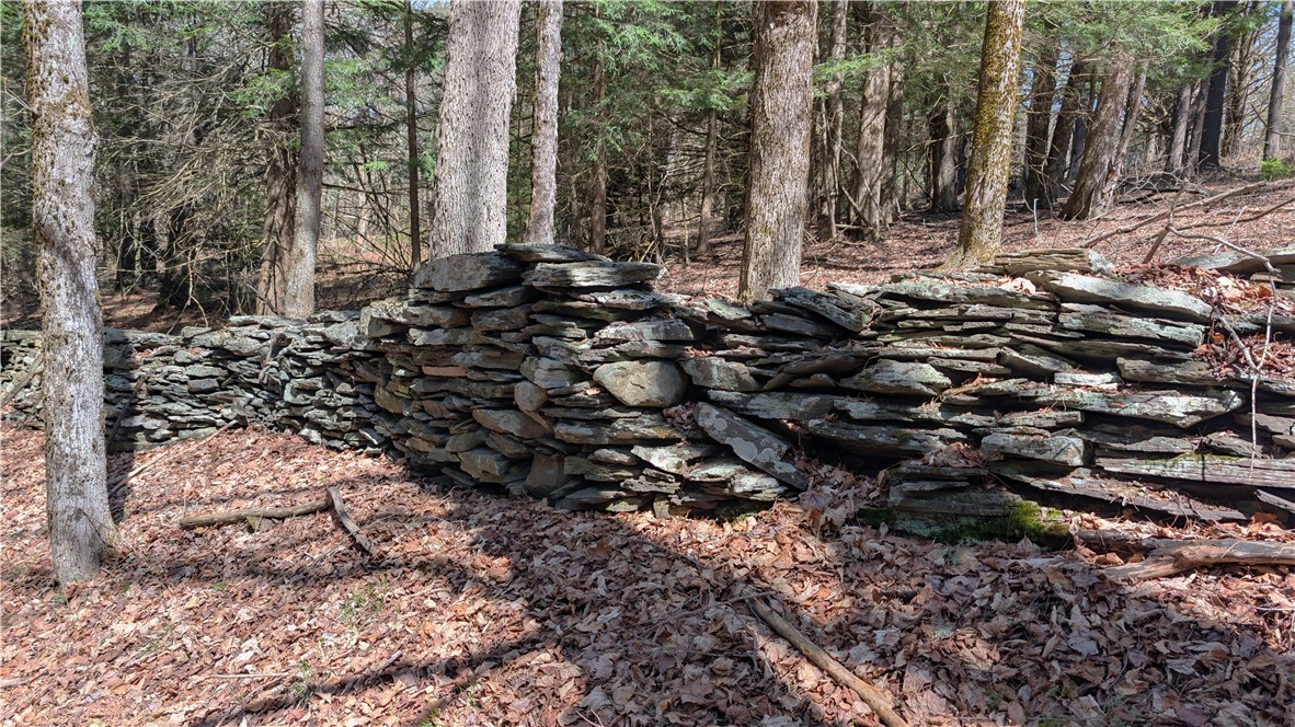 245 Woodchuck Run Summit, NY 12093 - Photo 32 of 45