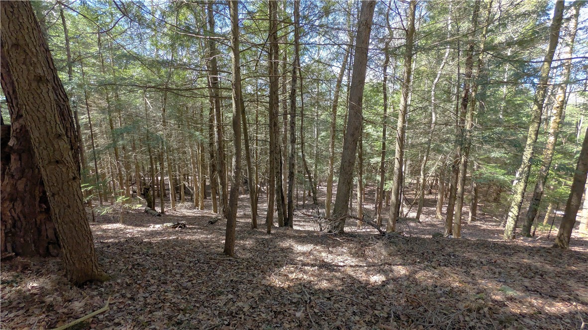 245 Woodchuck Run Summit, NY 12093 - Photo 33 of 45