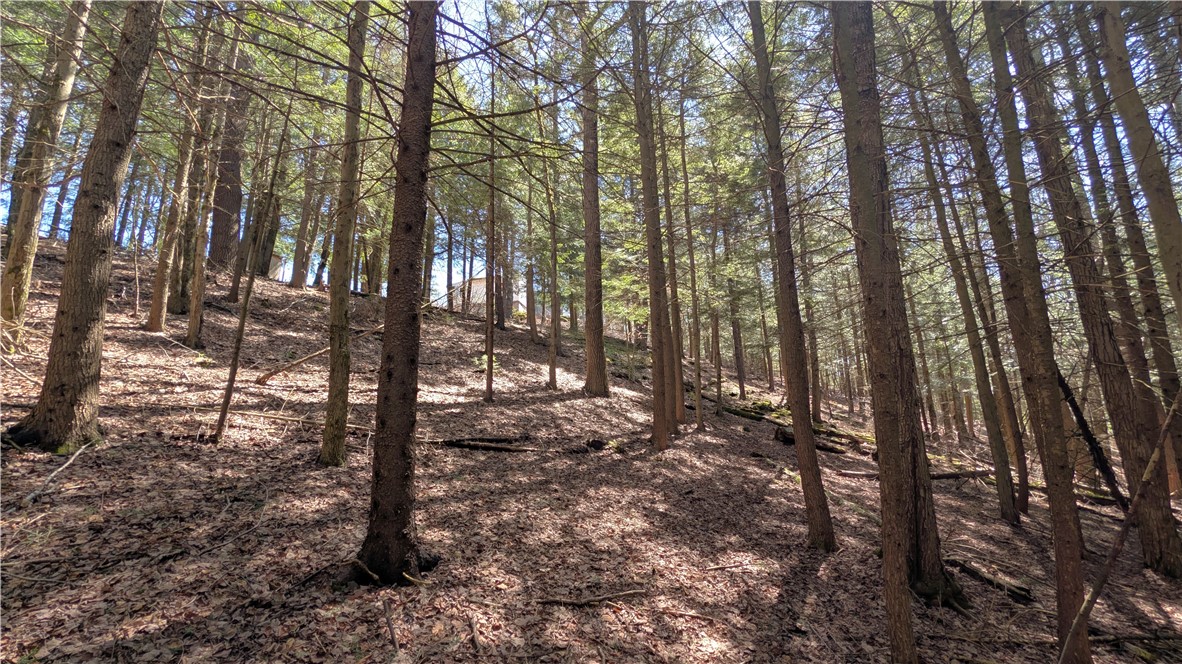 245 Woodchuck Run Summit, NY 12093 - Photo 34 of 45