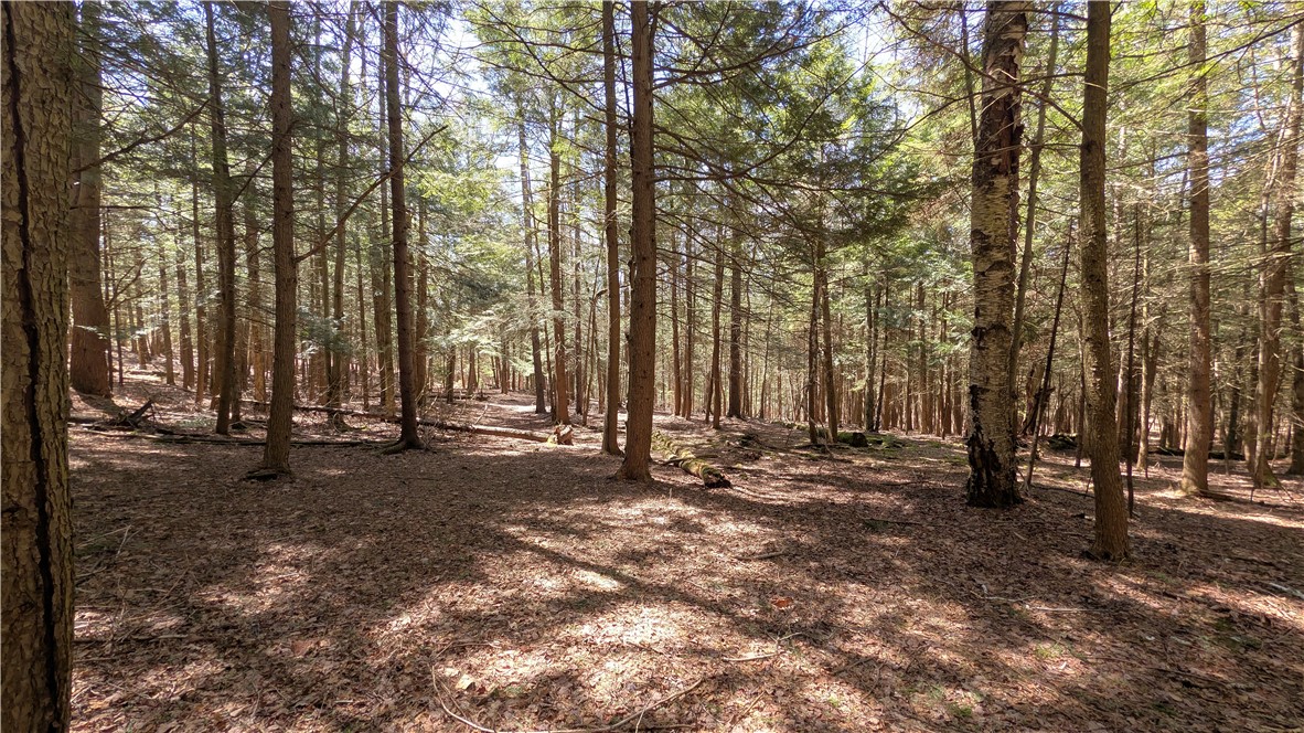 245 Woodchuck Run Summit, NY 12093 - Photo 35 of 45