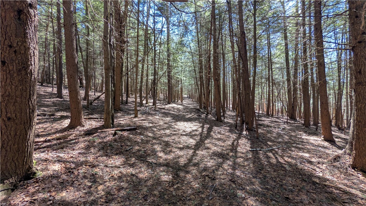 245 Woodchuck Run Summit, NY 12093 - Photo 36 of 45