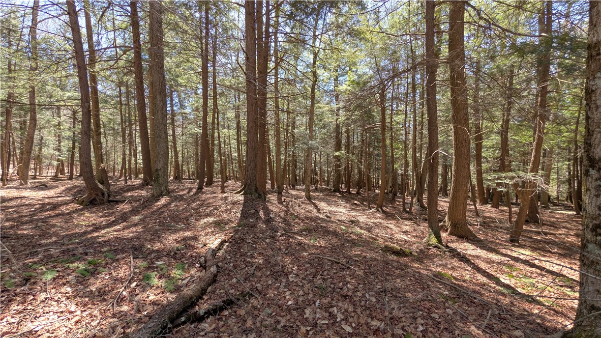 245 Woodchuck Run Summit, NY 12093 - Photo 37 of 45