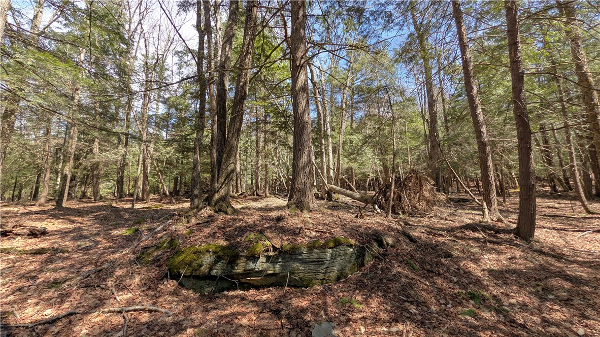245 Woodchuck Run Summit, NY 12093 - Photo 38 of 45