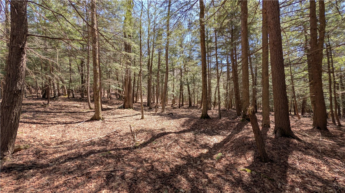 245 Woodchuck Run Summit, NY 12093 - Photo 39 of 45