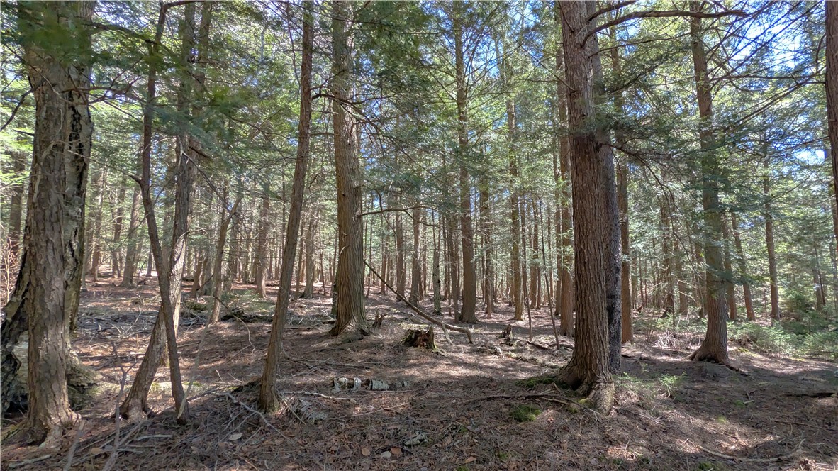245 Woodchuck Run Summit, NY 12093 - Photo 40 of 45