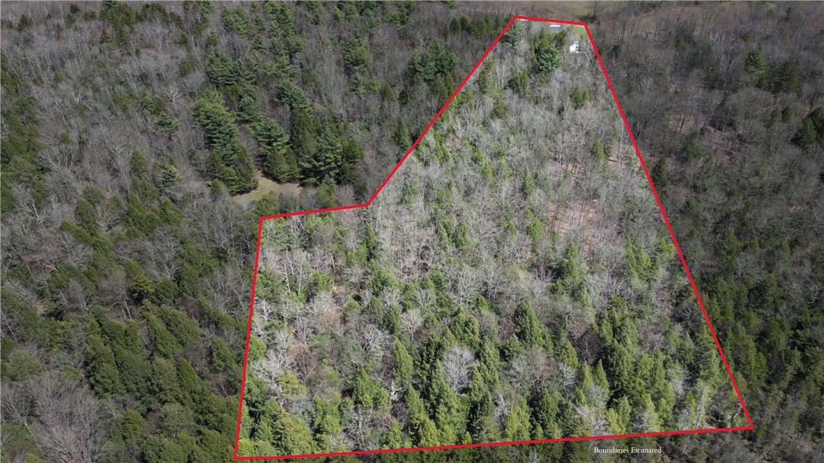 245 Woodchuck Run Summit, NY 12093 - Photo 4 of 45