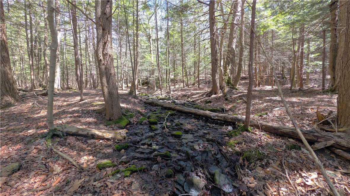 245 Woodchuck Run Summit, NY 12093 - Photo 41 of 45