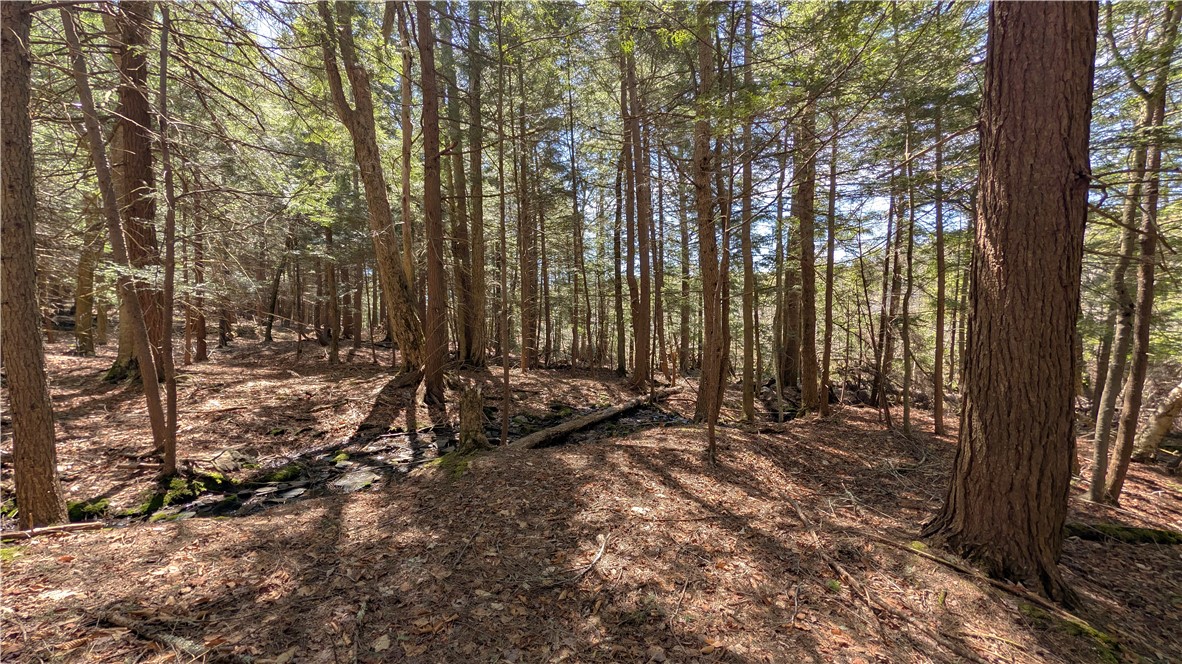 245 Woodchuck Run Summit, NY 12093 - Photo 42 of 45