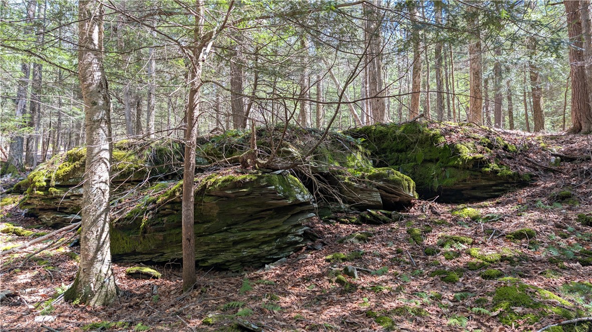 245 Woodchuck Run Summit, NY 12093 - Photo 43 of 45