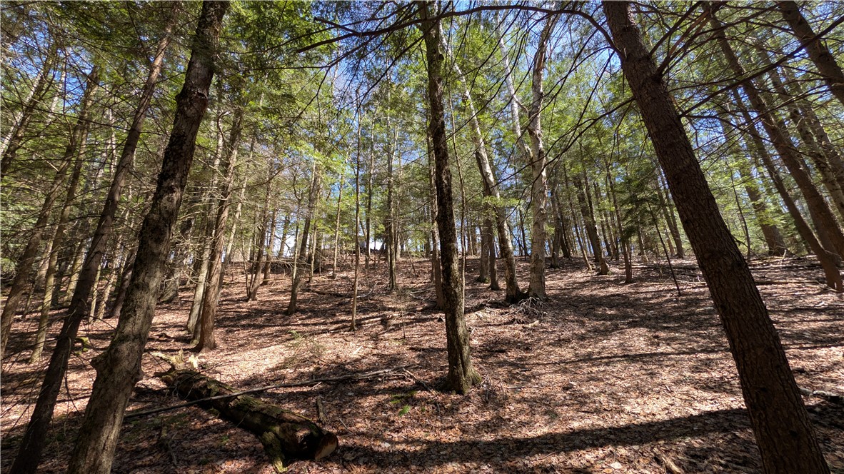 245 Woodchuck Run Summit, NY 12093 - Photo 44 of 45