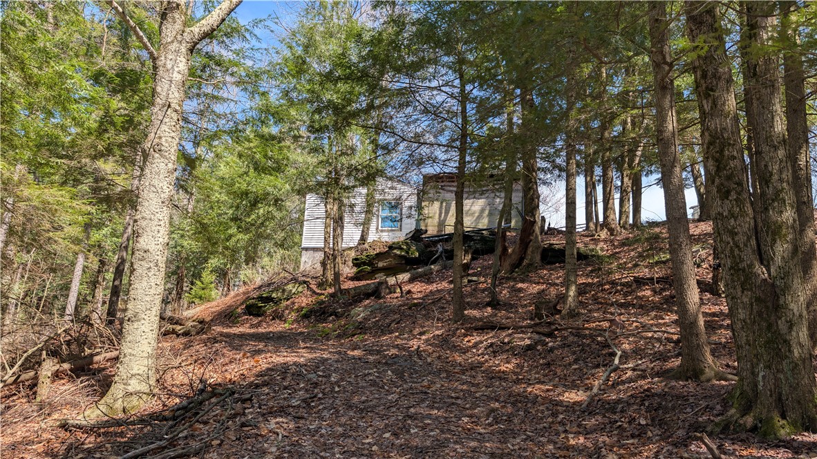 245 Woodchuck Run Summit, NY 12093 - Photo 45 of 45