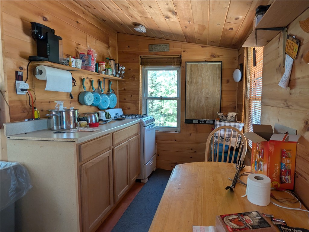 245 Woodchuck Run Summit, NY 12093 - Photo 10 of 45