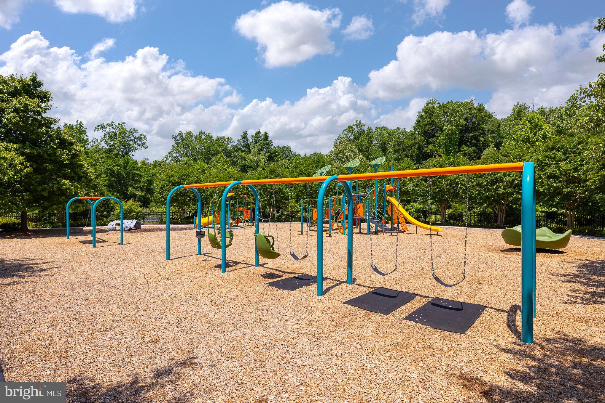 17318 Library Boulevard Ruther Glen, VA 22546 - Photo 30 of 36 Playground