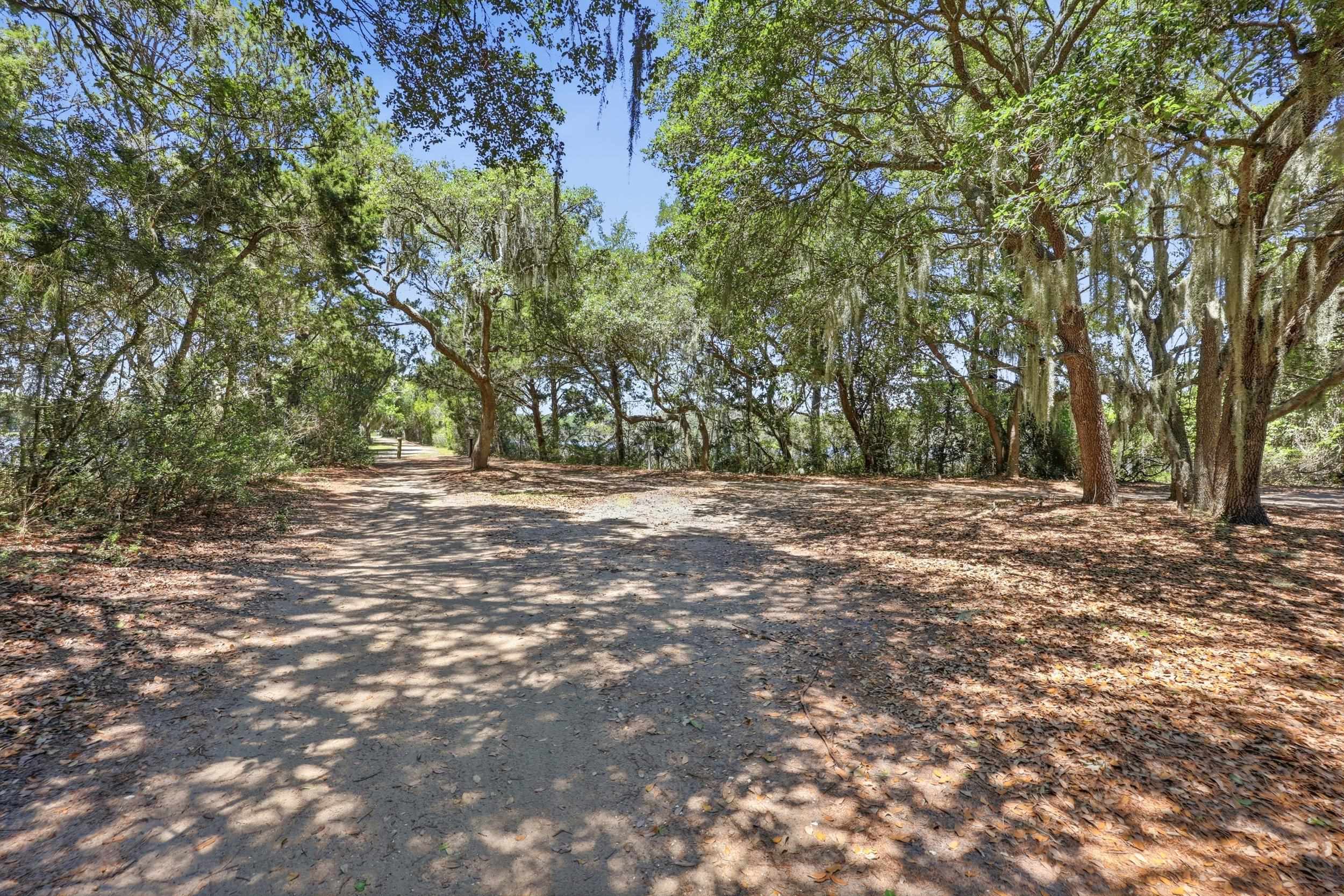 Lot 4 Josie Way Georgetown, SC 29440 - Photo 8 of 17