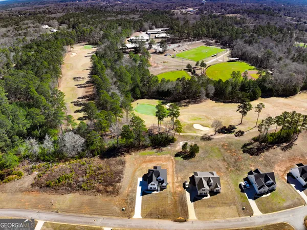 a view of a park with large trees