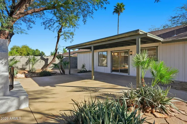 a view of a backyard