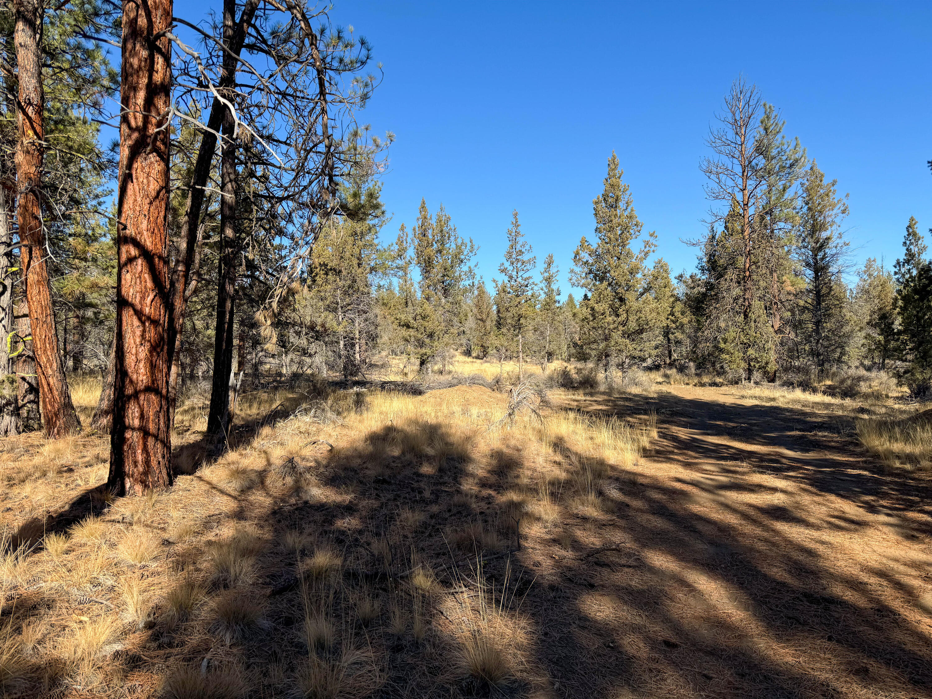 17390 Big Buck Road Sisters, OR 97759 - Photo 23 of 35 13790 Big Buck rd-42