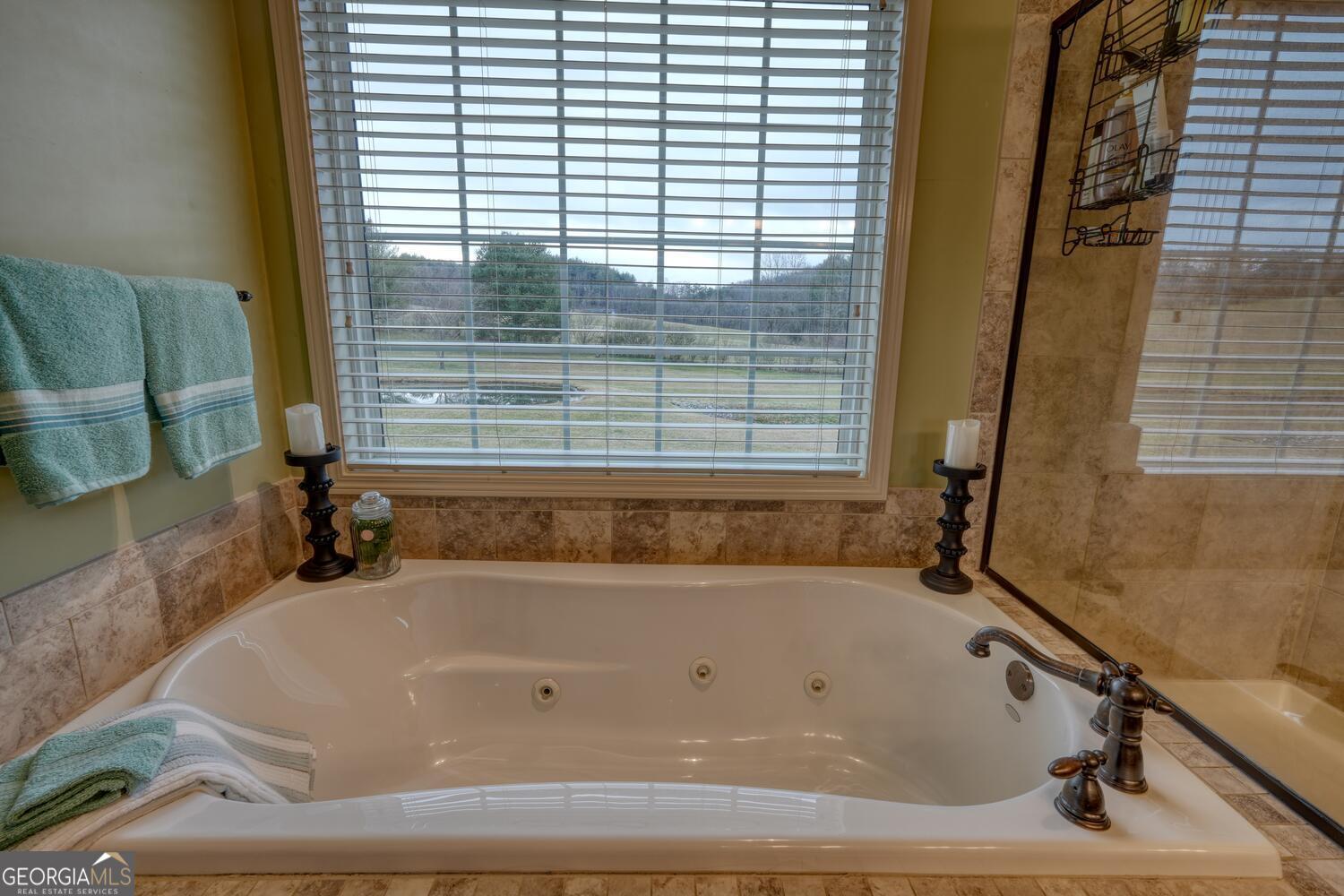 178 Barnwood Road Blairsville, GA 30512 - Photo 35 of 66 a bathroom with bathtub and window