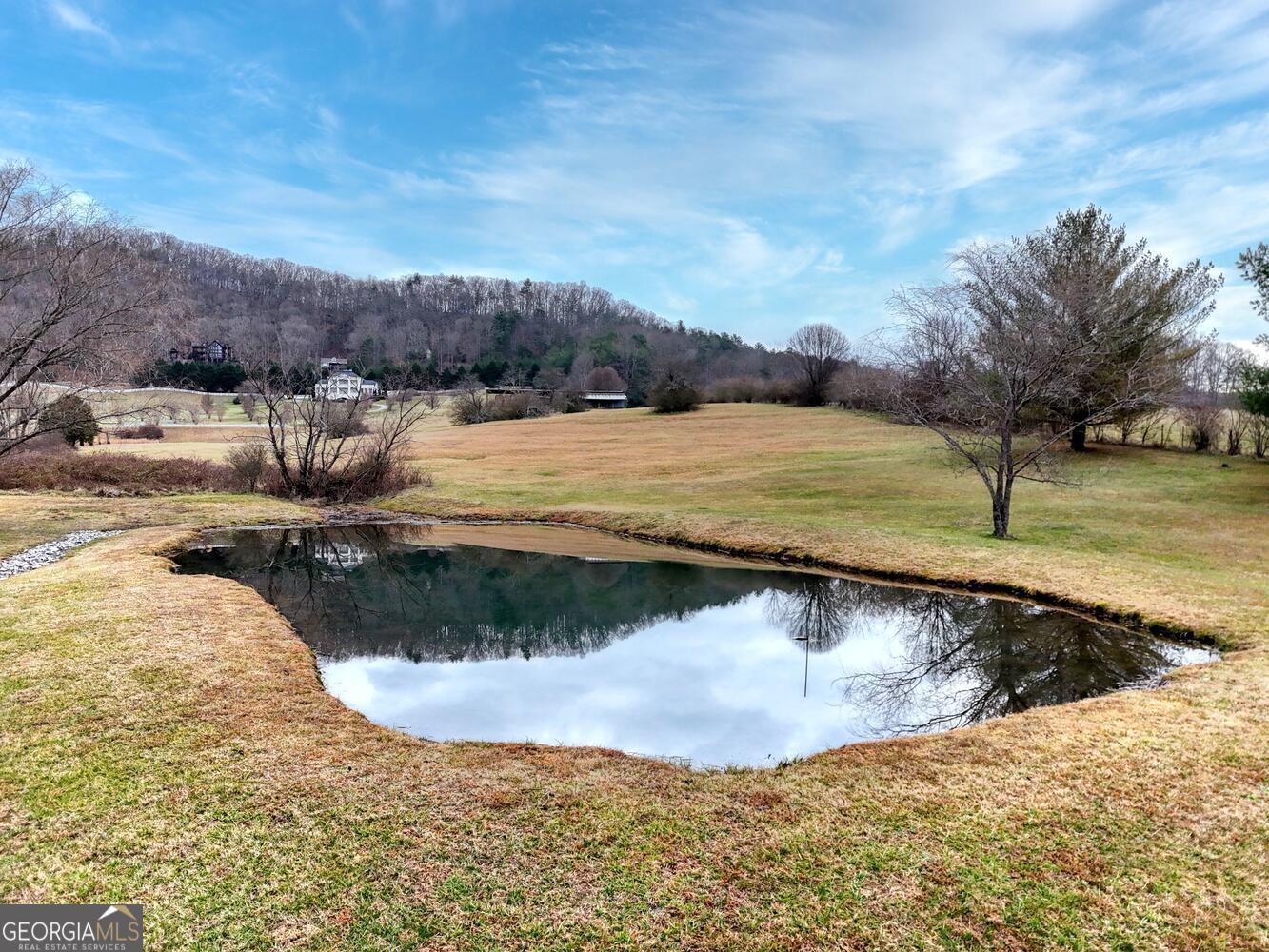 178 Barnwood Road Blairsville, GA 30512 - Photo 10 of 66
