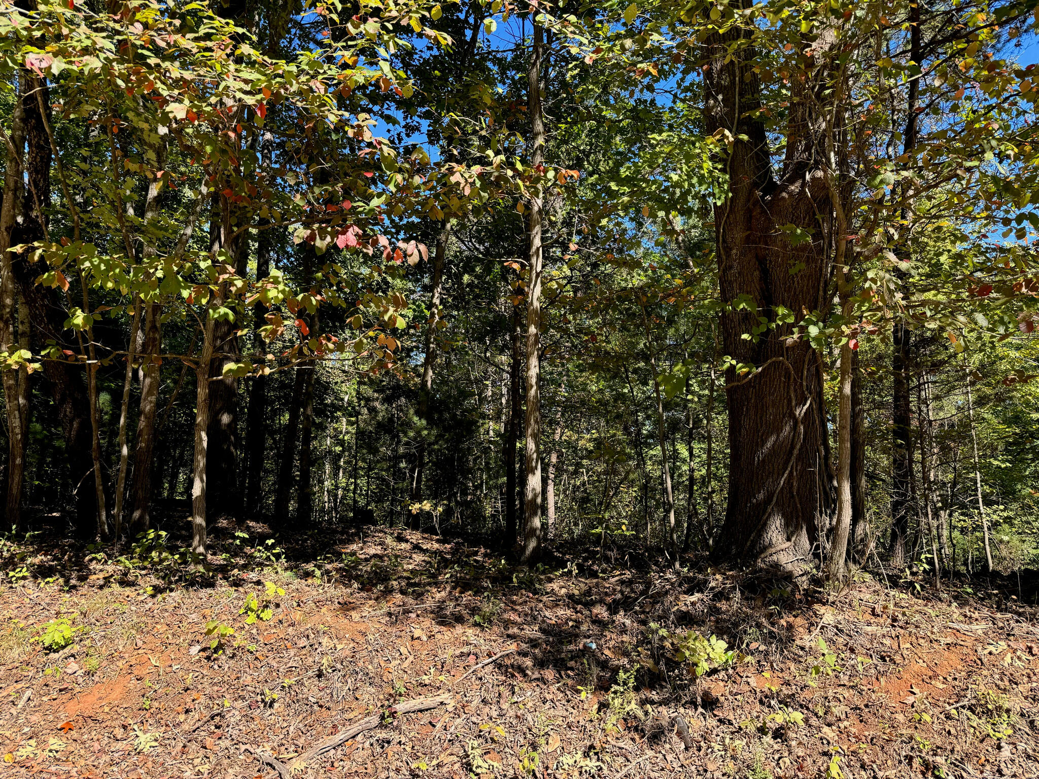 Lot 3 Narrows Road Boones Mill, VA 24065 - Photo 1 of 6 IMG_1609