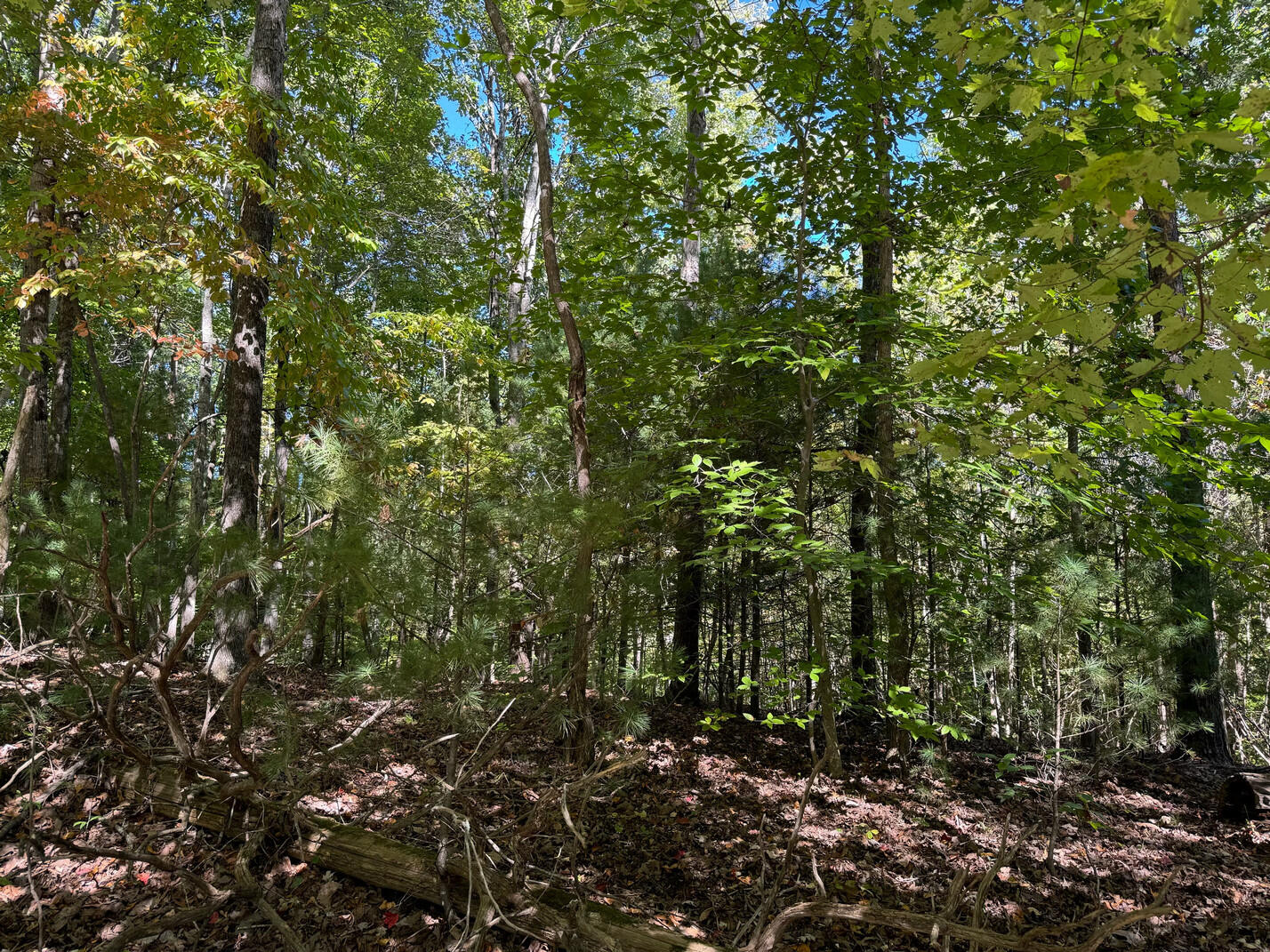 Lot 3 Narrows Road Boones Mill, VA 24065 - Photo 3 of 6 IMG_1613