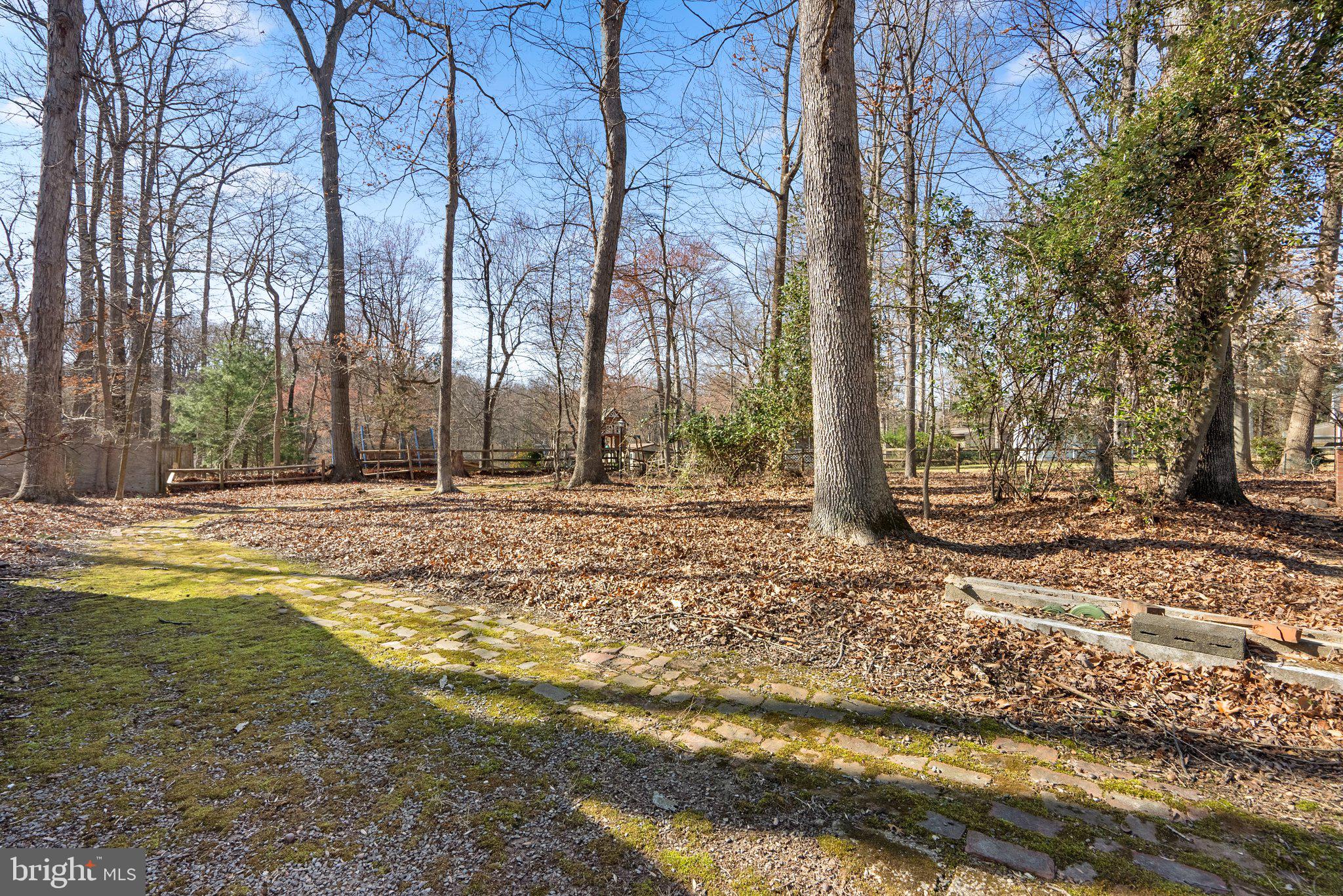 14704 Harold Road Silver Spring, MD 20905 - Photo 38 of 43 Yard Beyond Fence