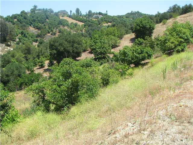 0 Country Club Lane Fallbrook, CA 92028 - Photo 5 of 5 Gallery Image 5