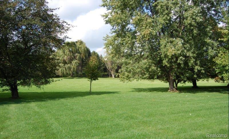 25237 Rutledge Crossing Farmington, MI 48335 - Photo 17 of 21 Large Yard