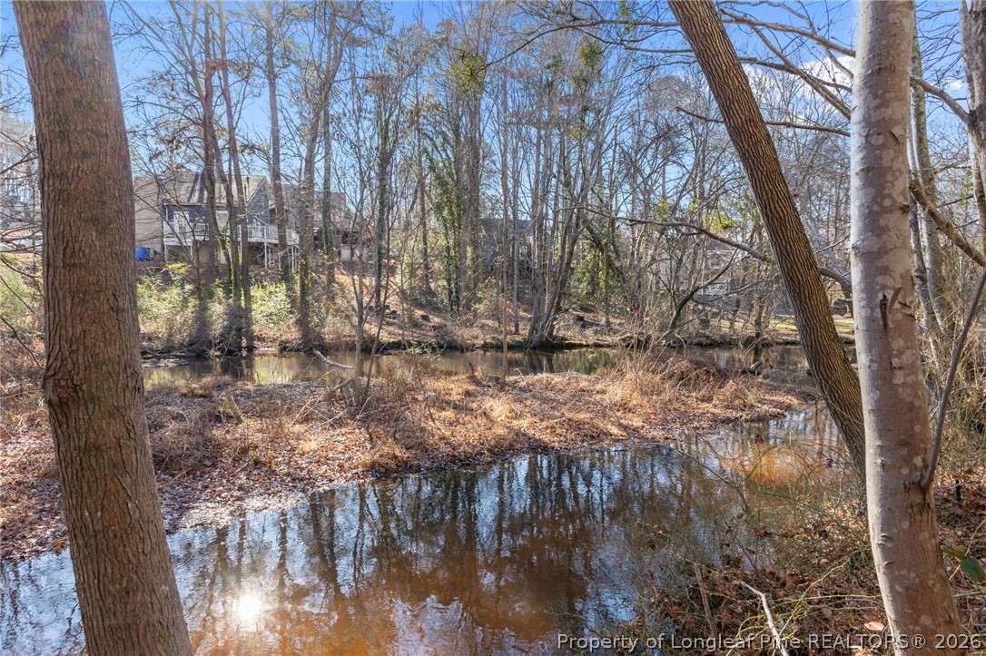 342 Bahama Loop Fayetteville, NC 28314 - Photo 36 of 47
