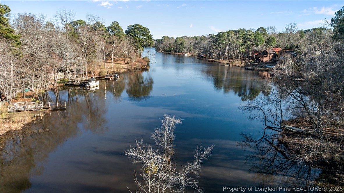 342 Bahama Loop Fayetteville, NC 28314 - Photo 47 of 47 a view of a lake with boats and trees in the background