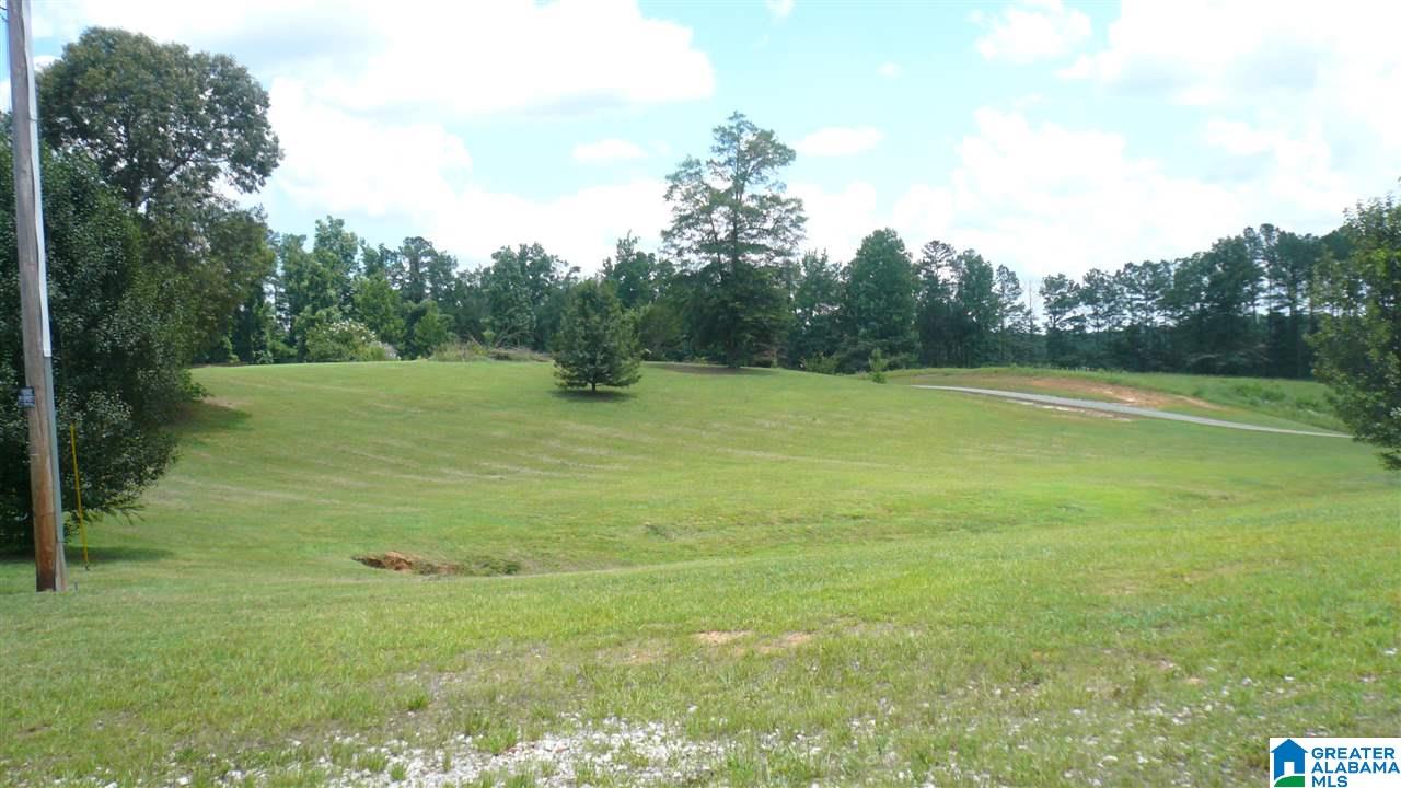 4690 Hollis Goodwin Road Empire, AL 35063 - Photo 2 of 7