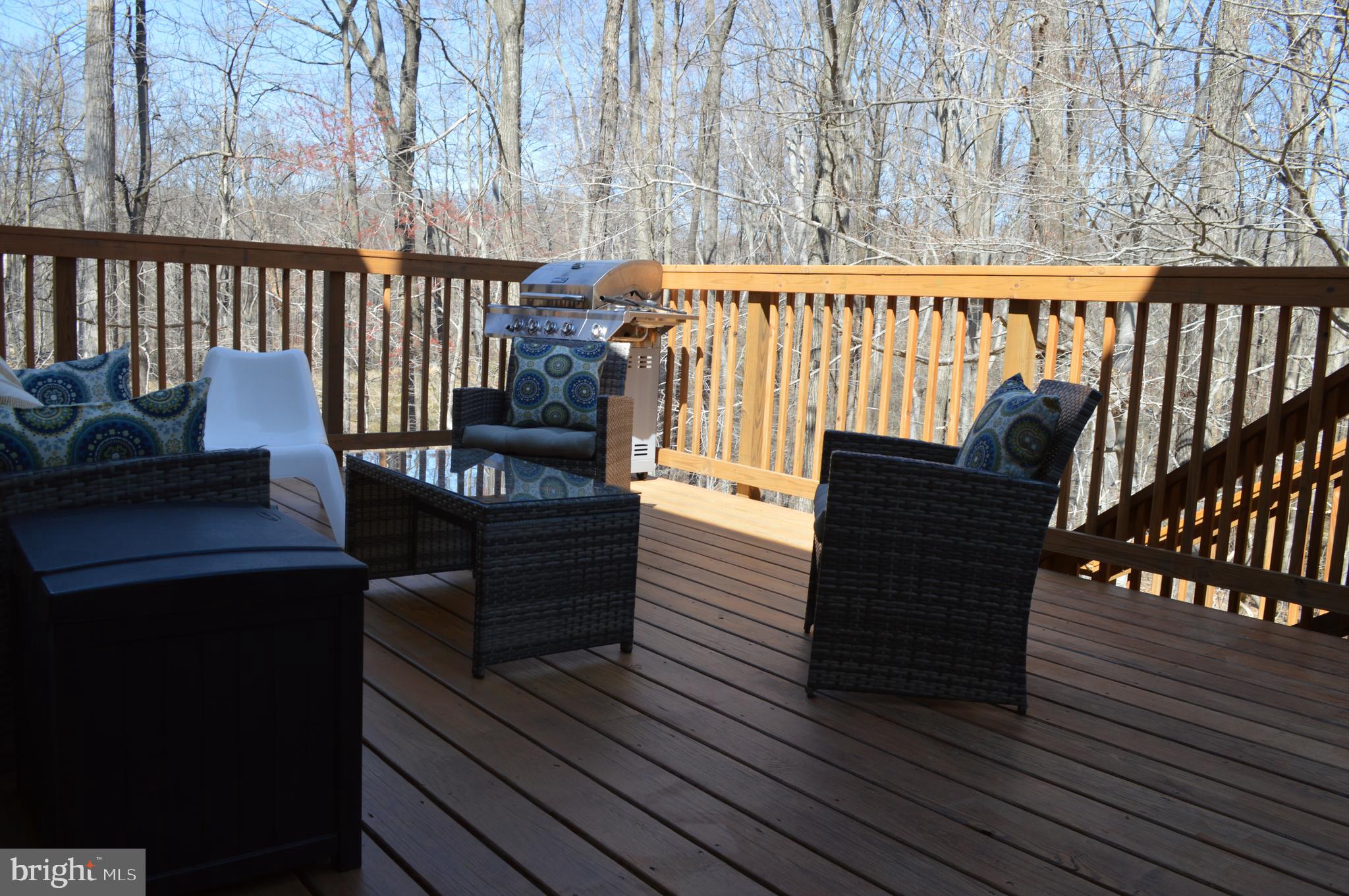 6223 Rathlin Drive Springfield, VA 22152 - Photo 18 of 25 DECK