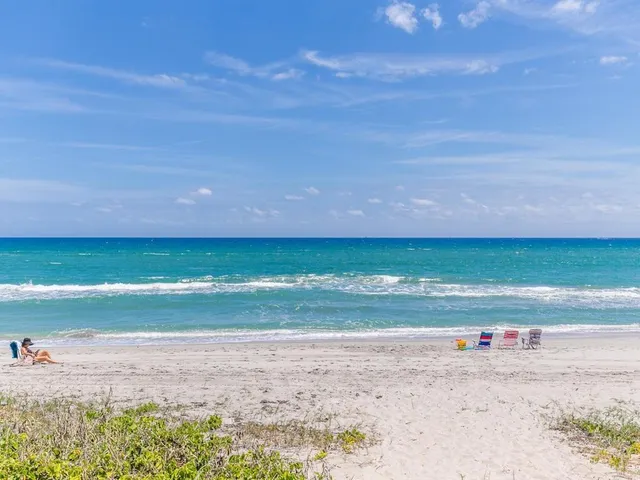 a view of a field of an ocean beach