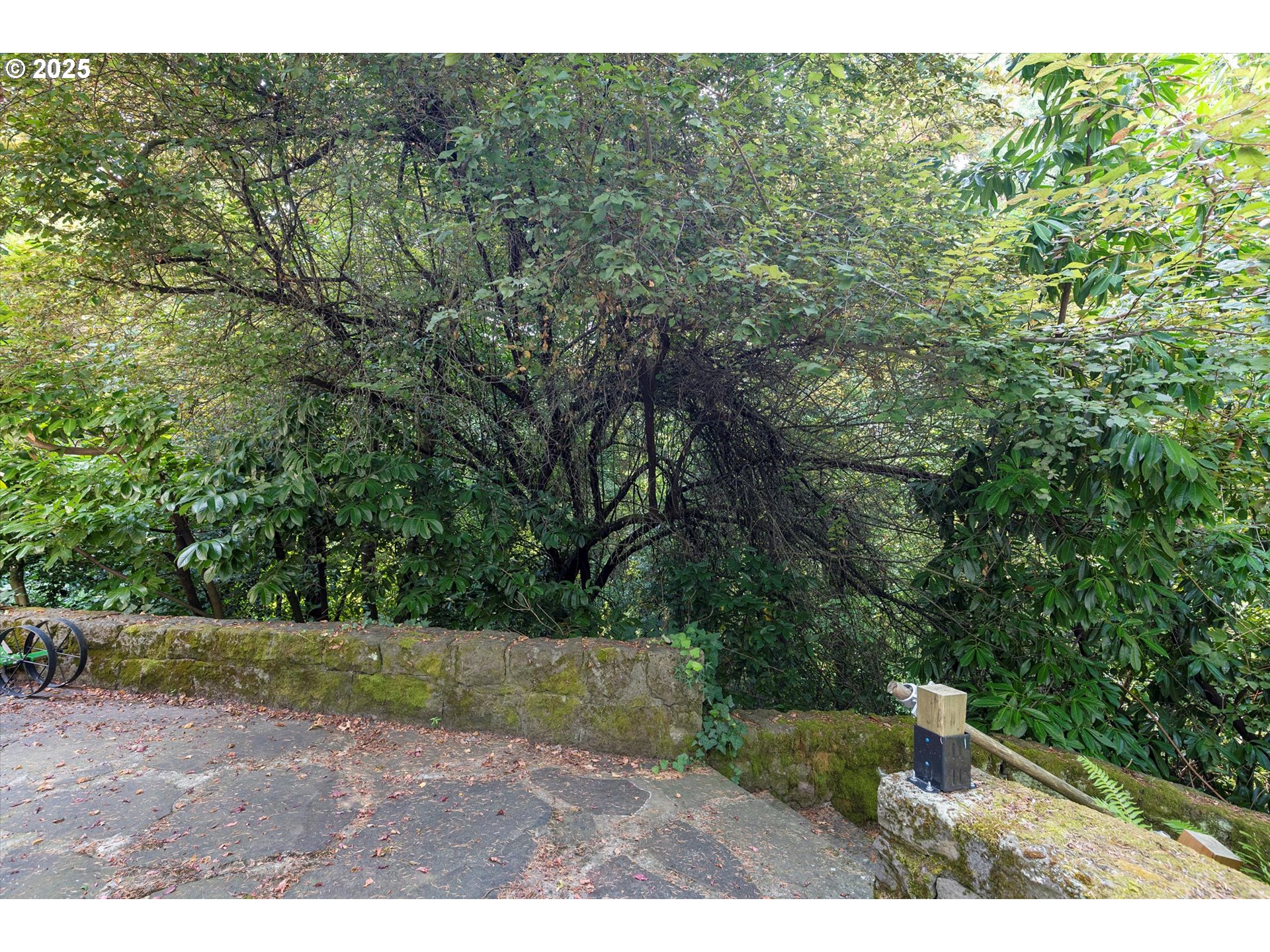 1757 Southwest Prospect Drive Portland, OR 97201 - Photo 40 of 48 a view of outdoor space and yard