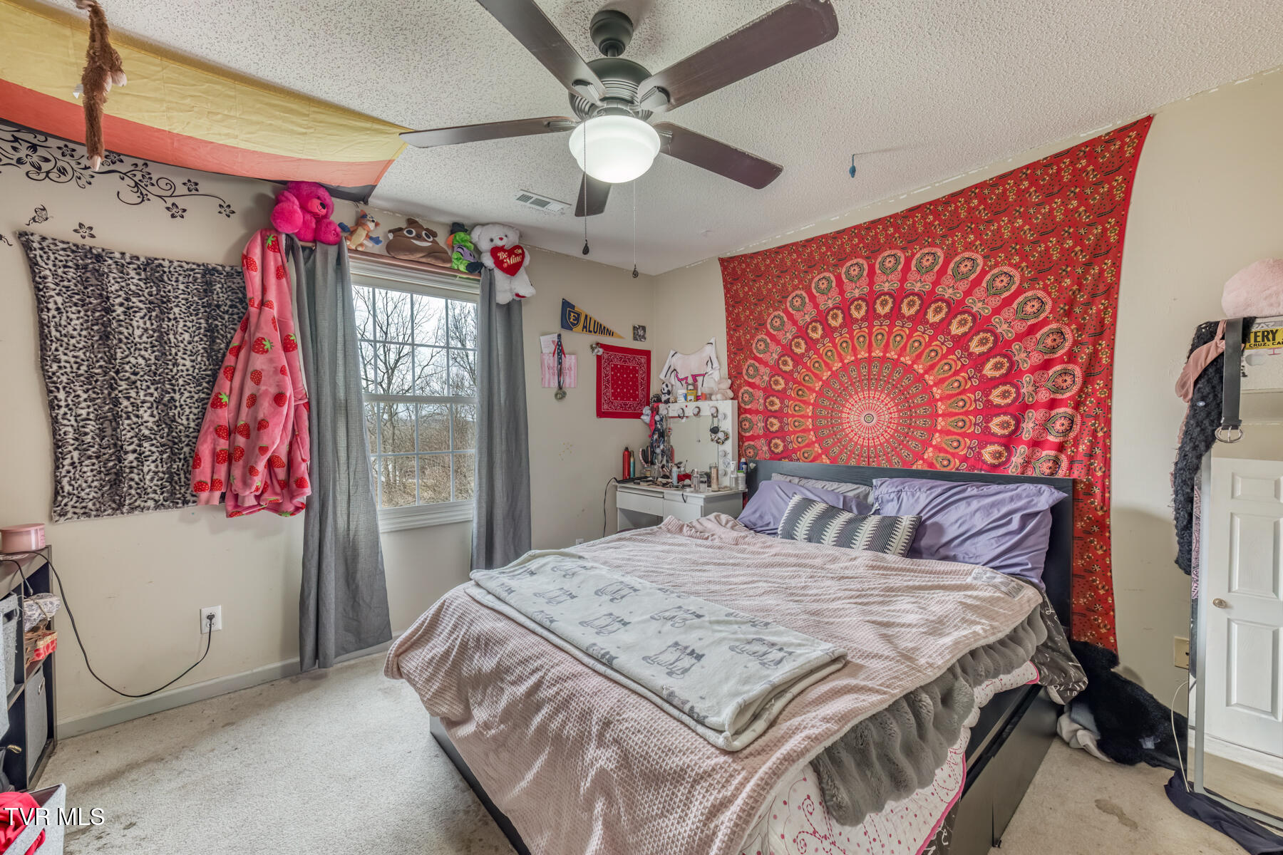 198 Dean Archer Road Jonesborough, TN 37659 - Photo 27 of 43 198 Dean Archer Rd-28