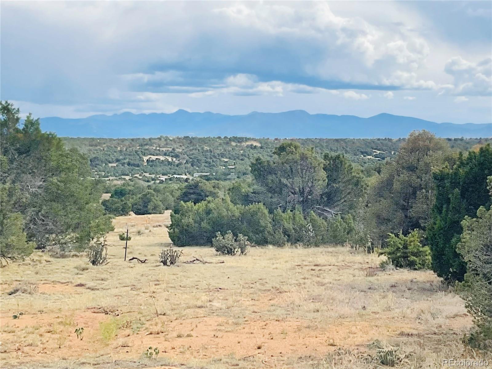 17 Phase 3 Navajo Ranch Walsenburg, CO 81089 - Photo 21 of 26 a view of a dry yard with a large tree