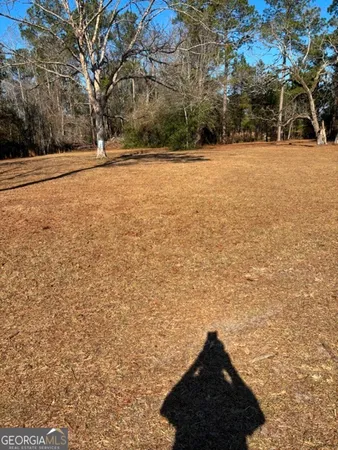 a view of empty space with large trees