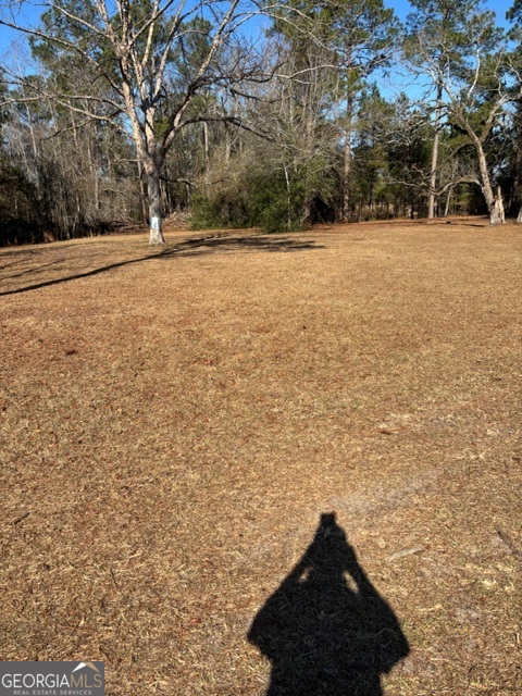 592 Clifford Meeks Road Collins, GA 30421 - Photo 17 of 52 a view of empty space with large trees