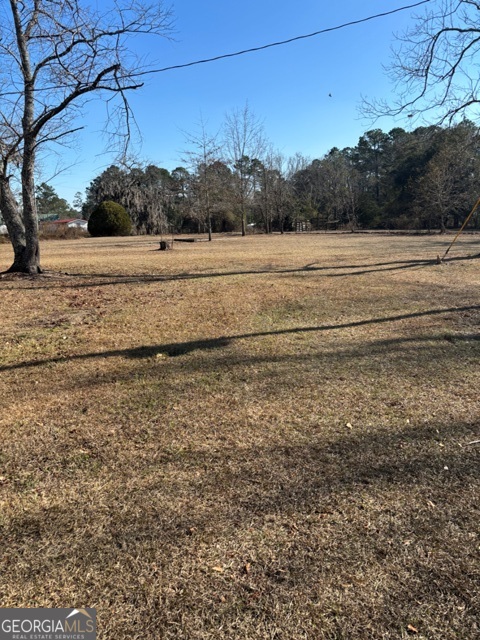592 Clifford Meeks Road Collins, GA 30421 - Photo 23 of 52 a view of a lake view