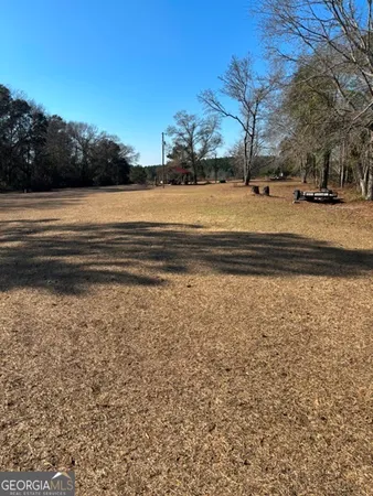 a view of yard with large trees